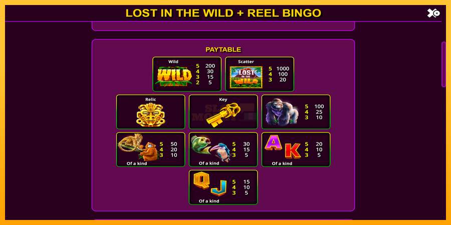 Lost in the Wild with Reel Bingo máquina de juego por dinero, imagen 6