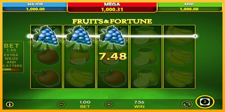 Fruits & Fortune máquina de juego por dinero, imagen 5