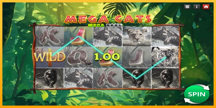 Mega Cats Mega Reel máquina de juego por dinero, imagen 3