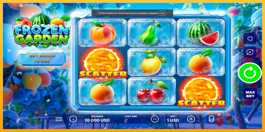 Frozen Garden máquina de juego por dinero, imagen 1