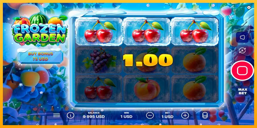 Frozen Garden máquina de juego por dinero, imagen 2