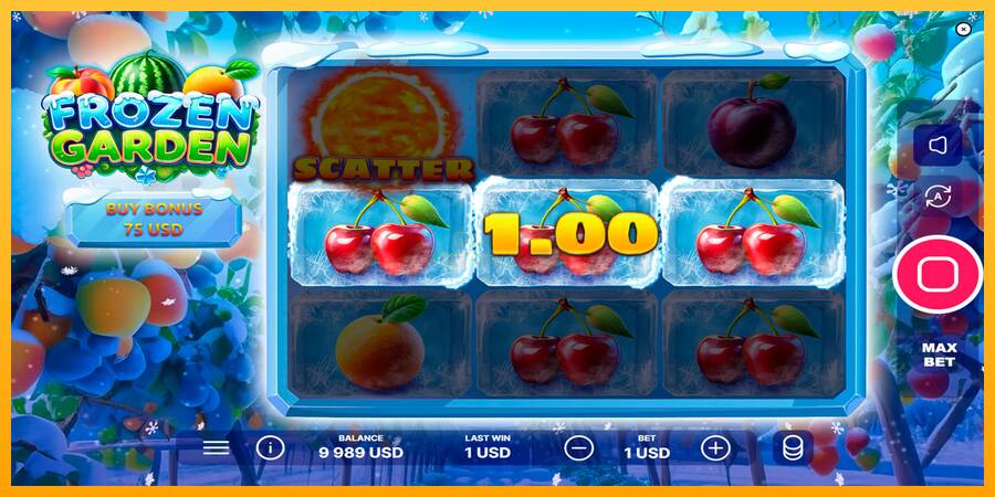 Frozen Garden máquina de juego por dinero, imagen 3