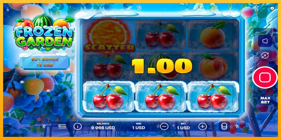 Frozen Garden máquina de juego por dinero, imagen 5