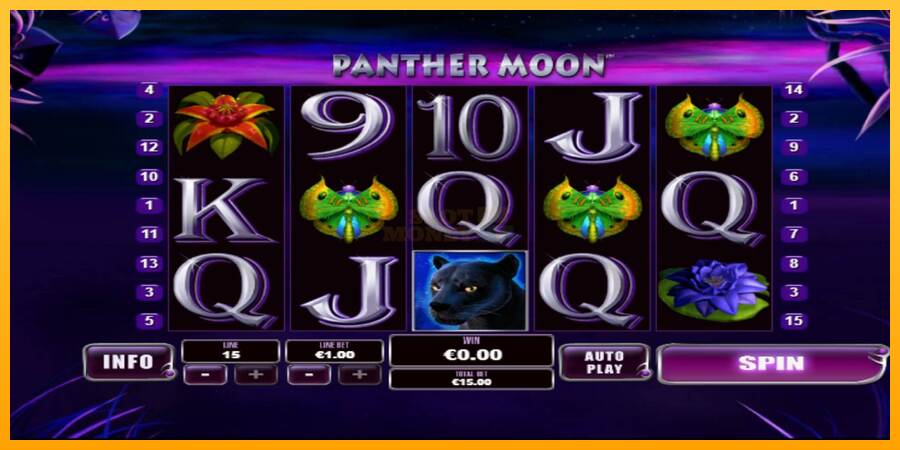 Panther Moon máquina de juego por dinero, imagen 1