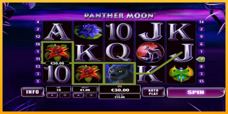 Panther Moon máquina de juego por dinero, imagen 2