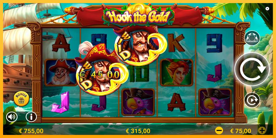 Hook The Gold máquina de juego por dinero, imagen 3