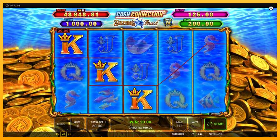 Cash Connection Dolphins Pearl máquina de juego por dinero, imagen 3