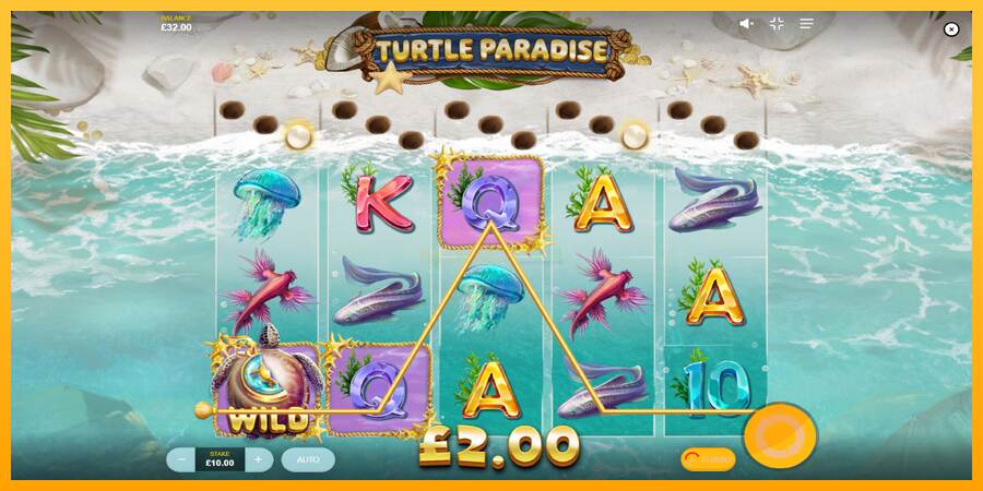 Turtle Paradise máquina de juego por dinero, imagen 3