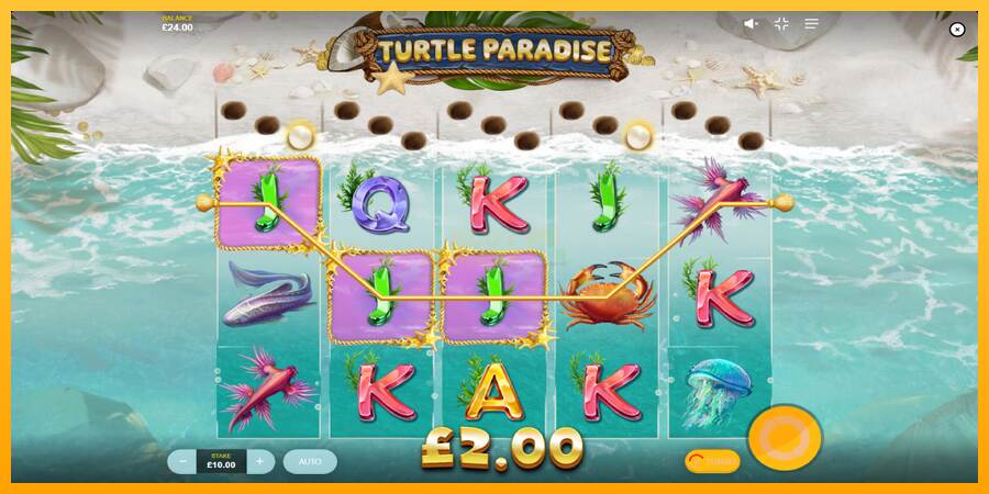 Turtle Paradise máquina de juego por dinero, imagen 4