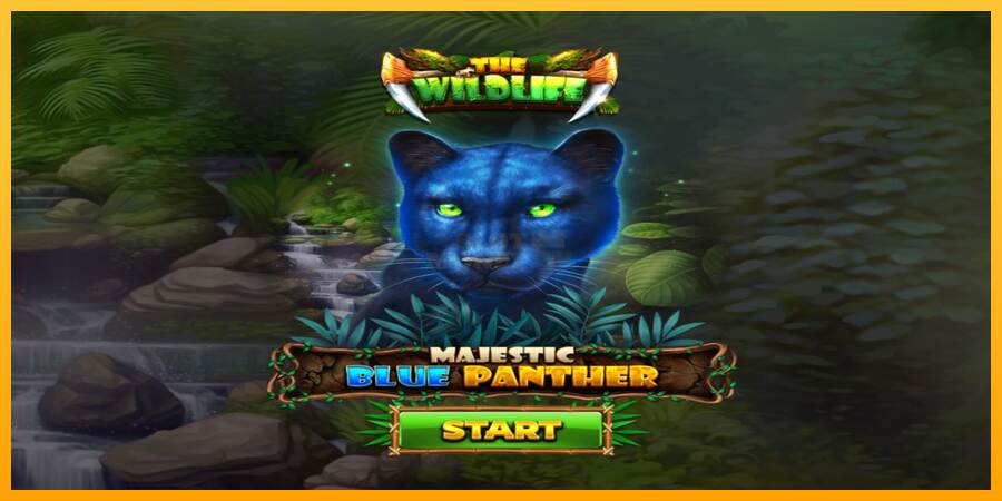 Majestic Blue Panther máquina de juego por dinero, imagen 1