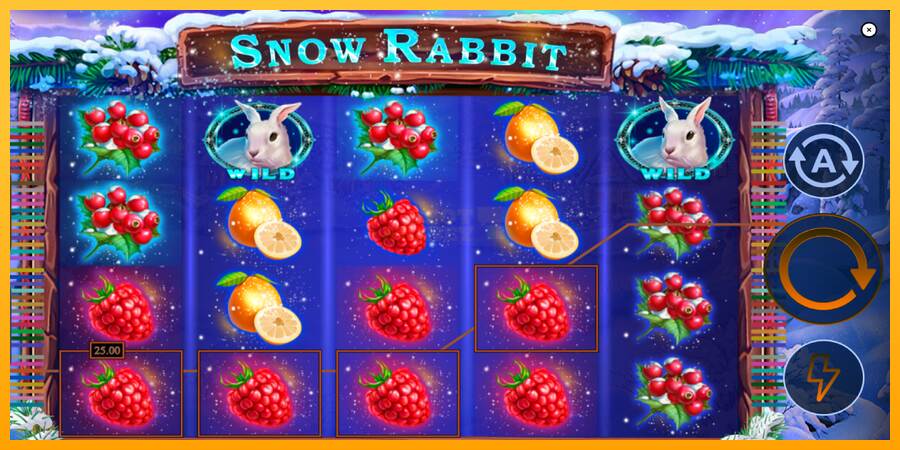 Snow Rabbit máquina de juego por dinero, imagen 4