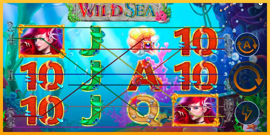 Wild Sea máquina de juego por dinero, imagen 1