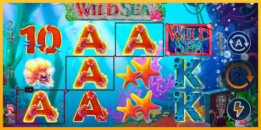 Wild Sea máquina de juego por dinero, imagen 2