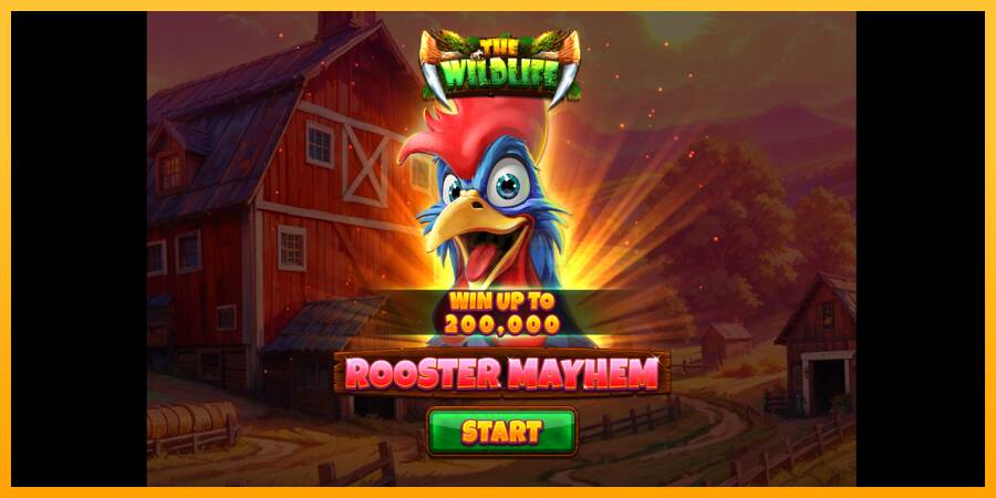 Rooster Mayhem máquina de juego por dinero, imagen 1