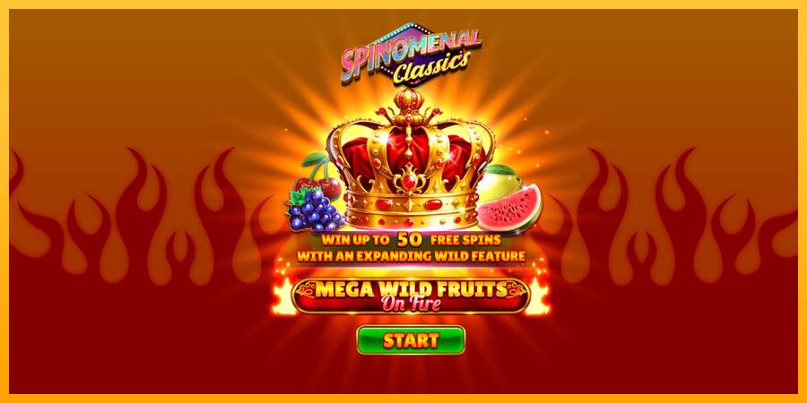 Mega Wild Fruits - On Fire máquina de juego por dinero, imagen 1