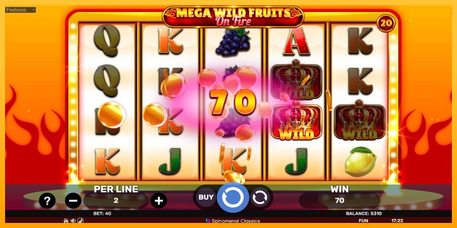 Mega Wild Fruits - On Fire máquina de juego por dinero, imagen 4