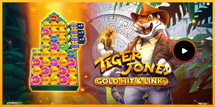 Gold Hit & Link: Tiger Jones máquina de juego por dinero, imagen 1