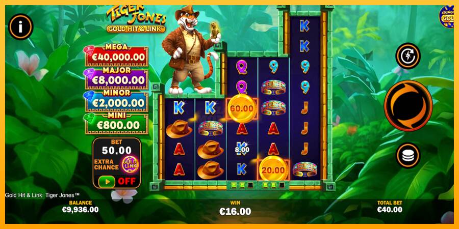 Gold Hit & Link: Tiger Jones máquina de juego por dinero, imagen 3