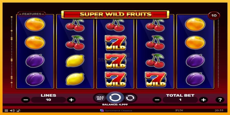 Super Wild Fruits máquina de juego por dinero, imagen 1