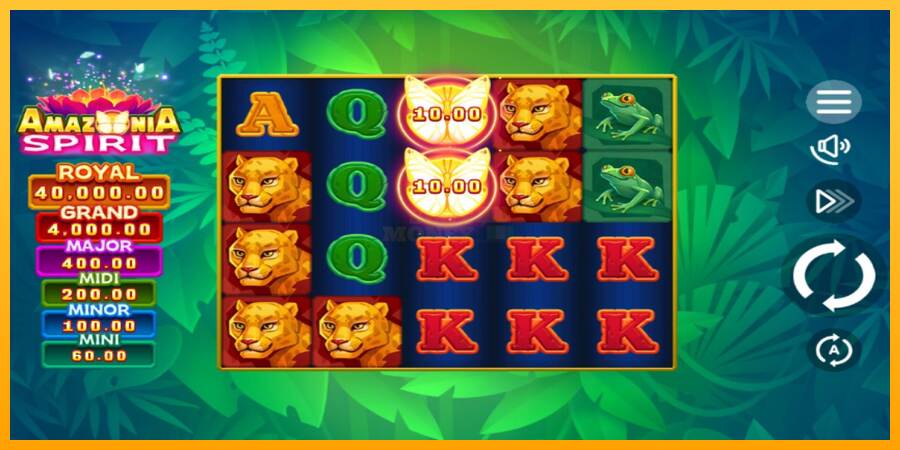 Amazonia Spirit máquina de juego por dinero, imagen 2