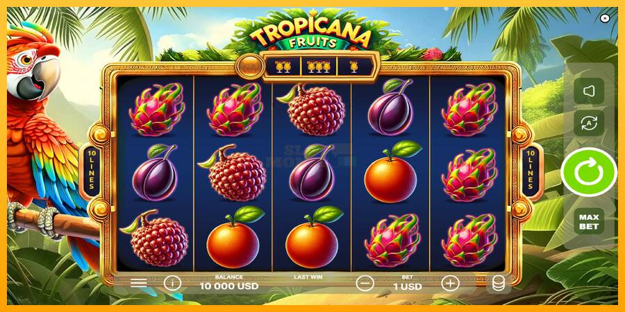 Tropicana Fruits máquina de juego por dinero, imagen 2