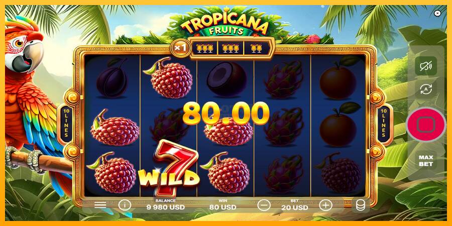 Tropicana Fruits máquina de juego por dinero, imagen 3