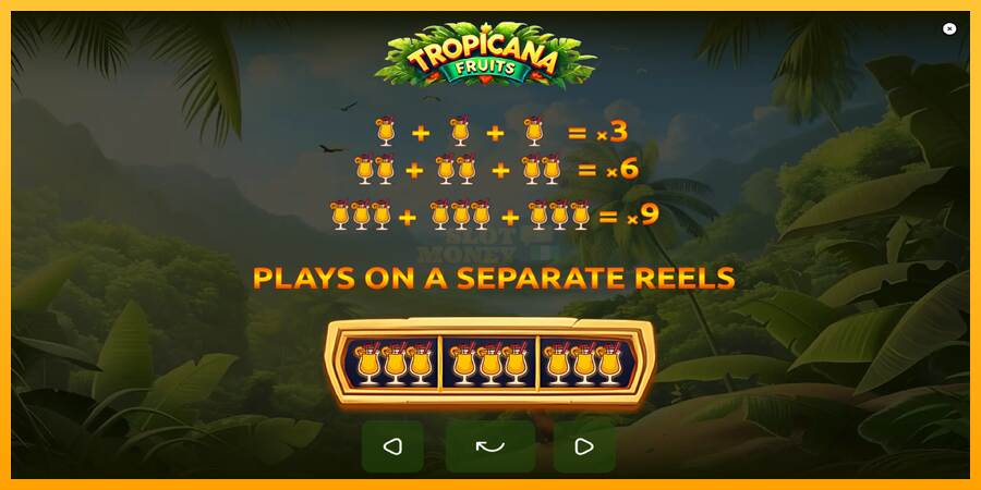 Tropicana Fruits máquina de juego por dinero, imagen 6