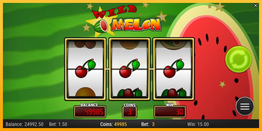 Wild Melon máquina de juego por dinero, imagen 3