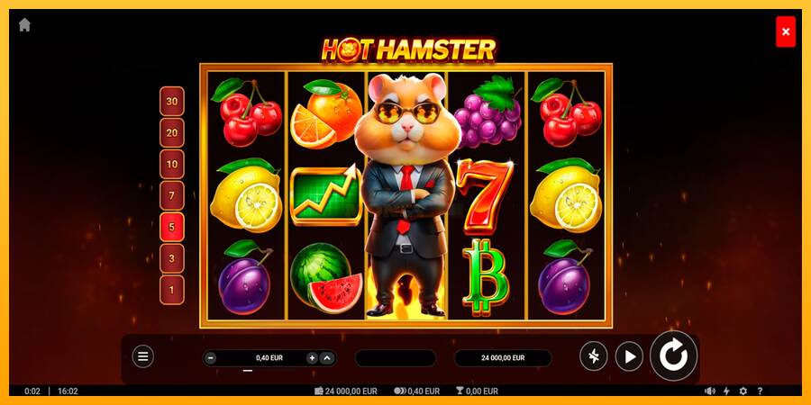 Hot Hamster máquina de juego por dinero, imagen 1