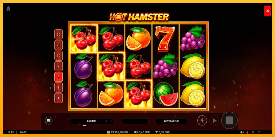 Hot Hamster máquina de juego por dinero, imagen 2