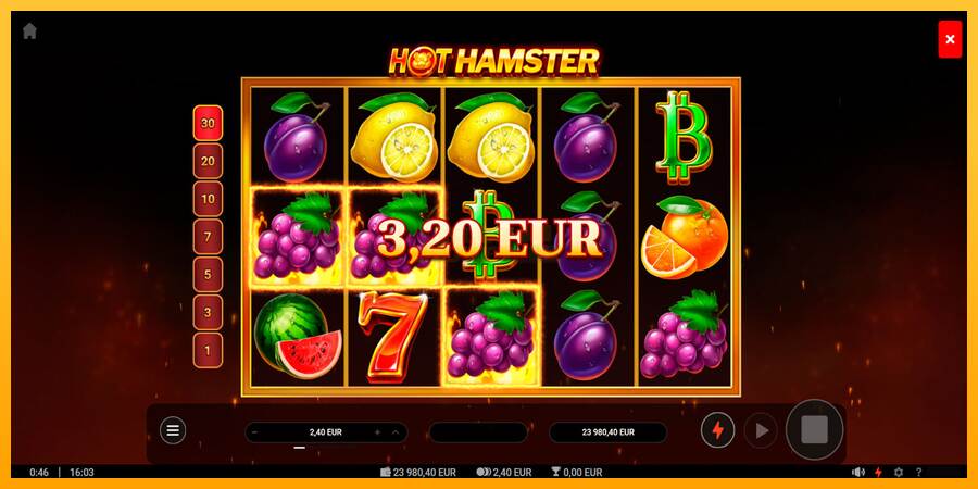 Hot Hamster máquina de juego por dinero, imagen 3