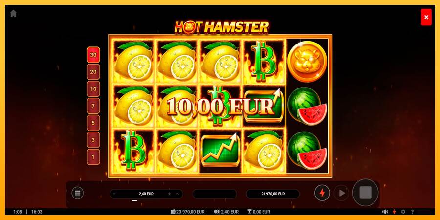 Hot Hamster máquina de juego por dinero, imagen 4