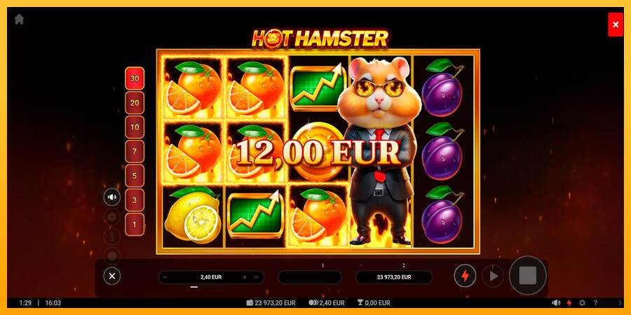 Hot Hamster máquina de juego por dinero, imagen 5