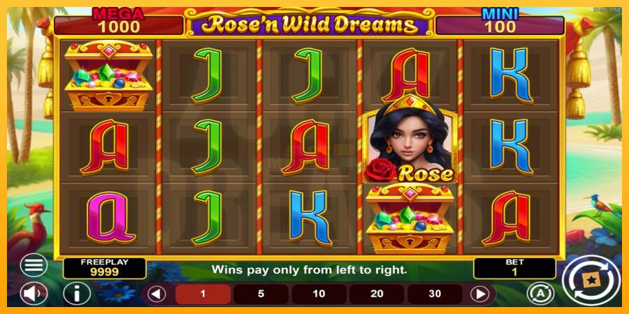 Rose’n Wild Dreams Hold & Win máquina de juego por dinero, imagen 2