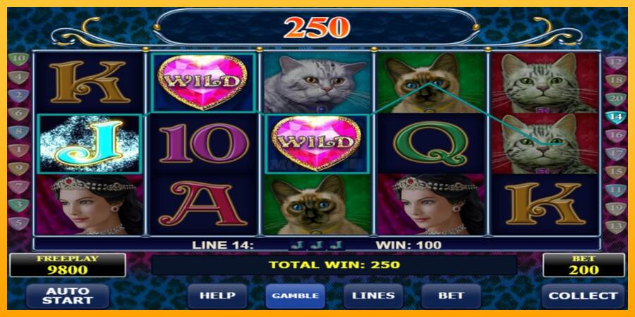 Diamond Cats máquina de juego por dinero, imagen 2