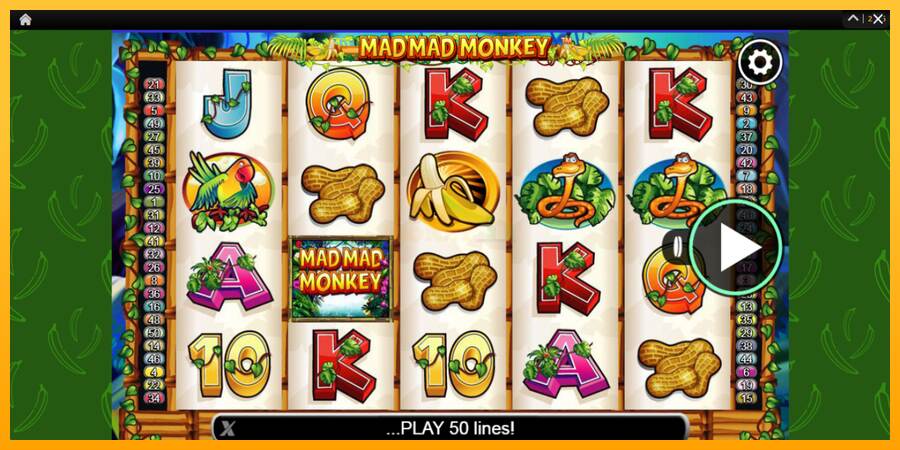 Mad Mad Monkey máquina de juego por dinero, imagen 1