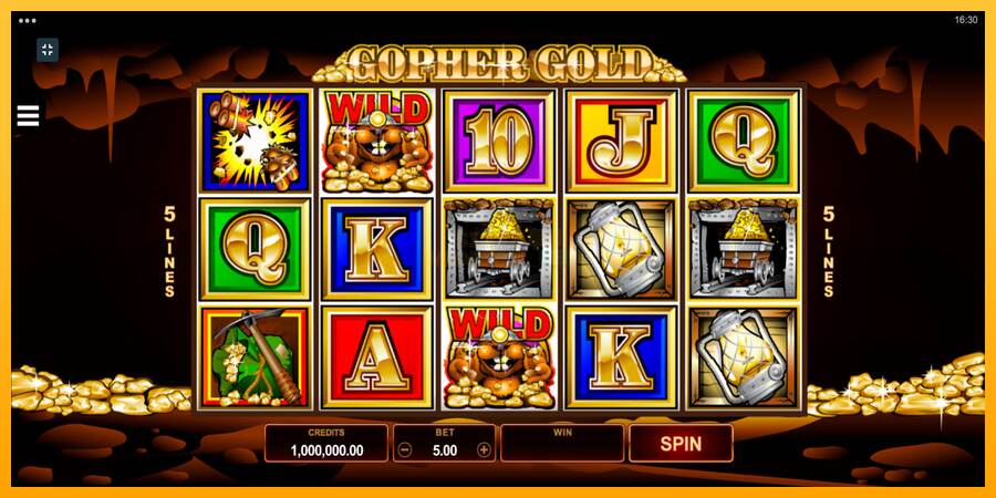 Gopher Gold máquina de juego por dinero, imagen 1