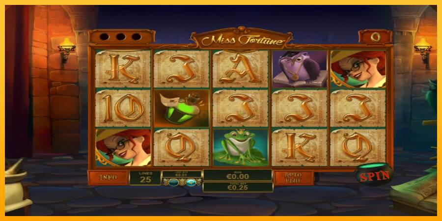 Miss Fortune máquina de juego por dinero, imagen 1