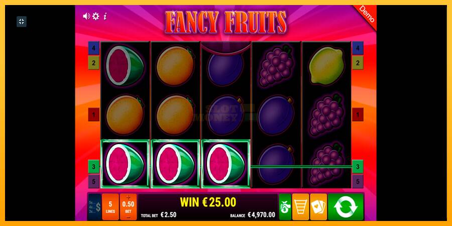 Fancy Fruits máquina de juego por dinero, imagen 3