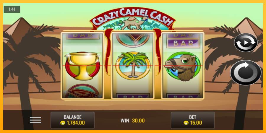 Crazy Camel Cash máquina de juego por dinero, imagen 4