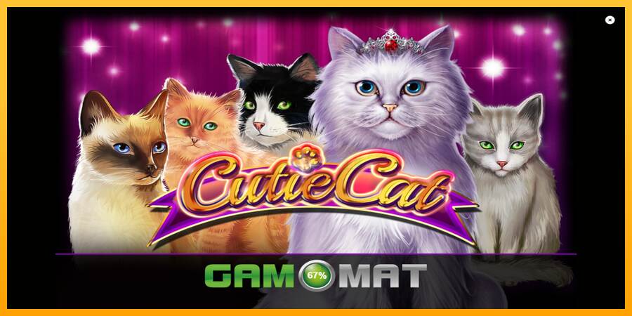 Cutie Cat máquina de juego por dinero, imagen 1