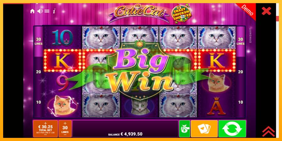 Cutie Cat máquina de juego por dinero, imagen 3