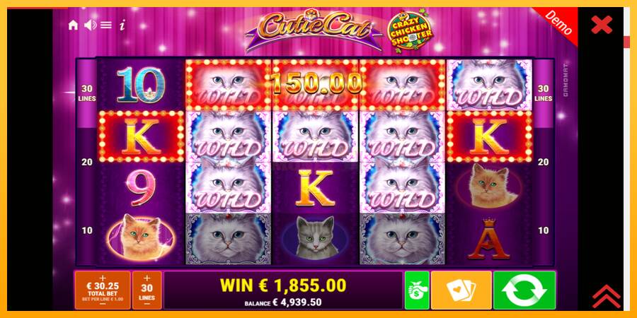 Cutie Cat máquina de juego por dinero, imagen 4