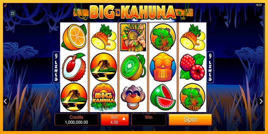 Big Kahuna máquina de juego por dinero, imagen 1