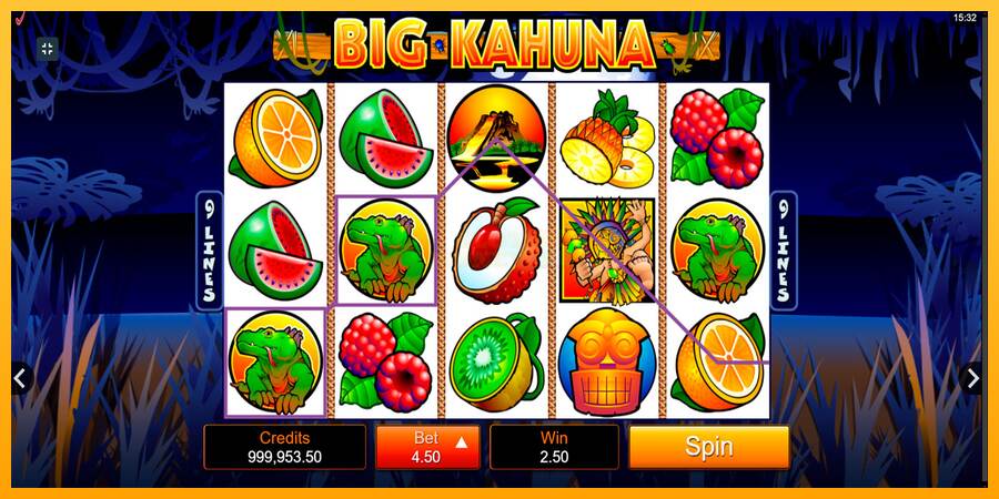 Big Kahuna máquina de juego por dinero, imagen 2