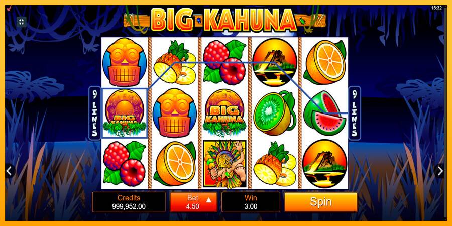 Big Kahuna máquina de juego por dinero, imagen 3