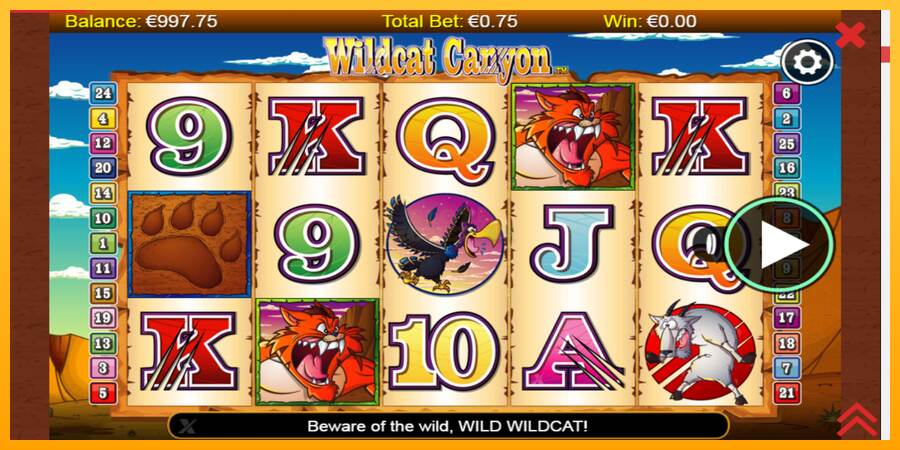 Wildcat Canyon máquina de juego por dinero, imagen 1