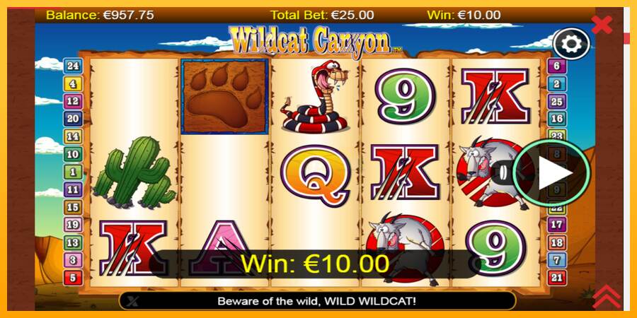 Wildcat Canyon máquina de juego por dinero, imagen 2