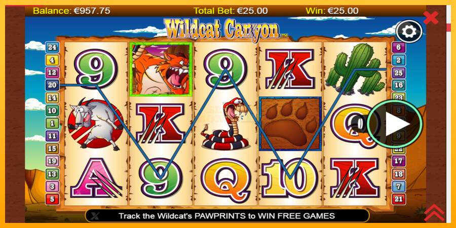 Wildcat Canyon máquina de juego por dinero, imagen 3