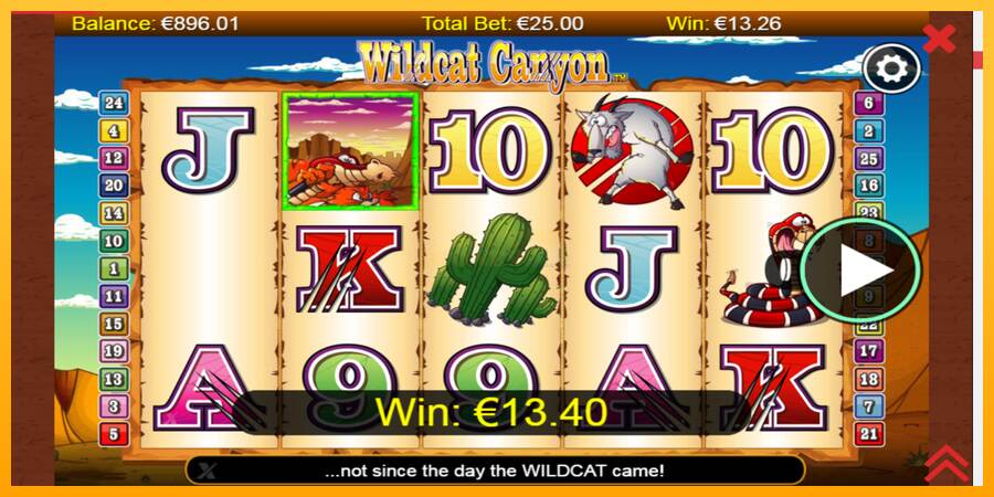 Wildcat Canyon máquina de juego por dinero, imagen 4